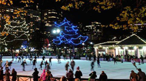 winter ice skating at Frog Pond