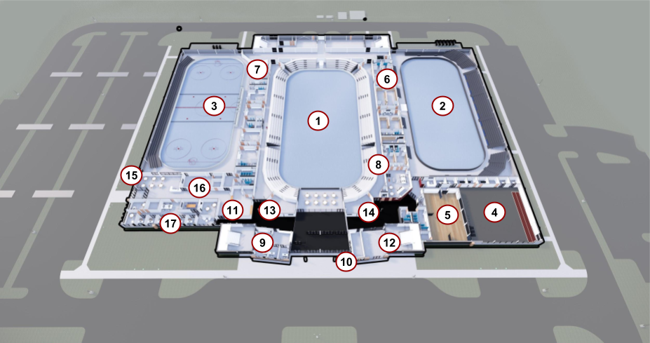 Rink Level